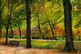 JP Ellara Parks